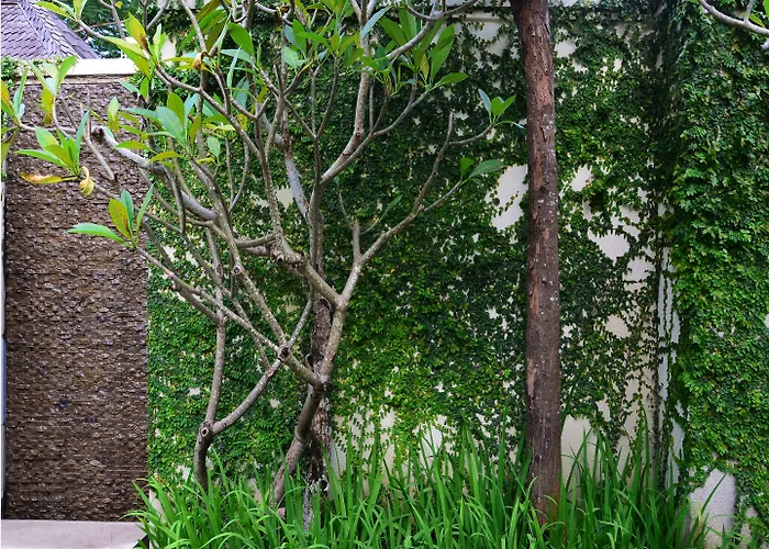 The Amala Boutique Retreat ヴィラ